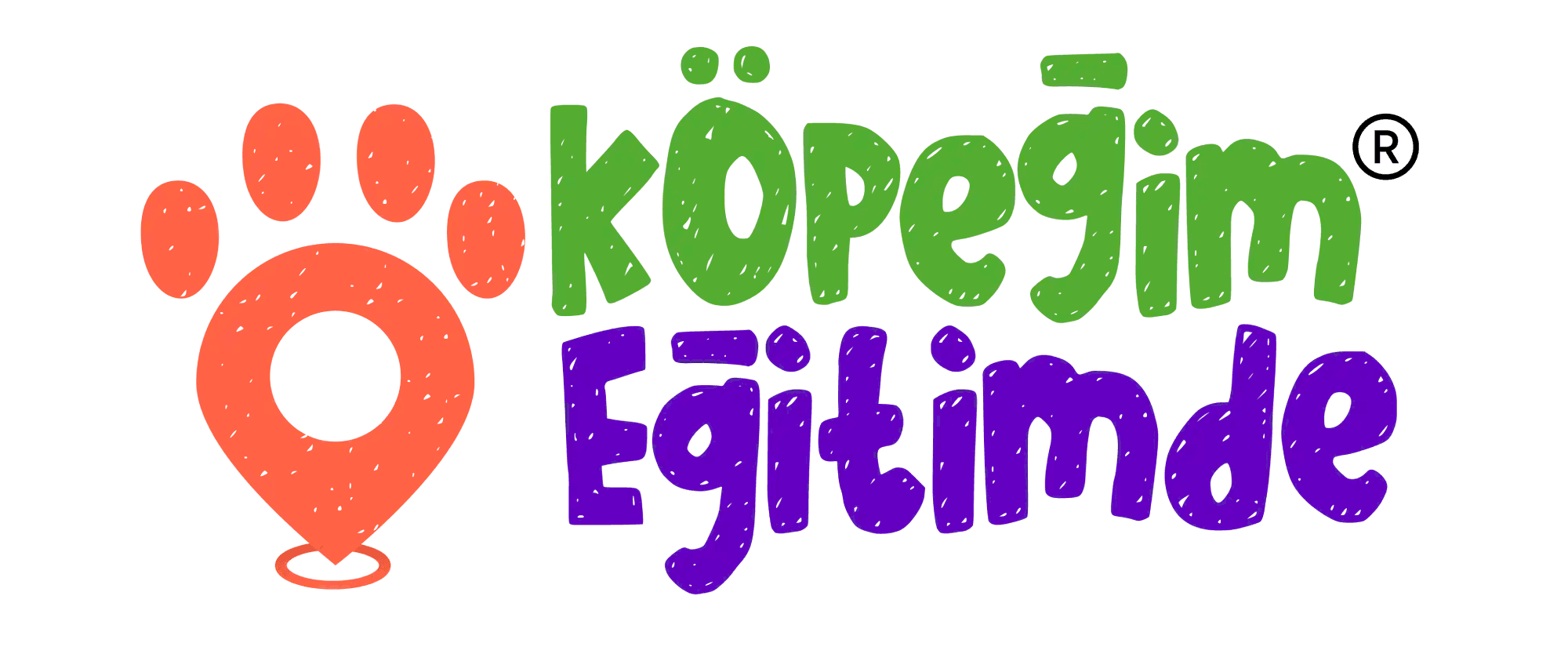 Köpeğim Eğitimde