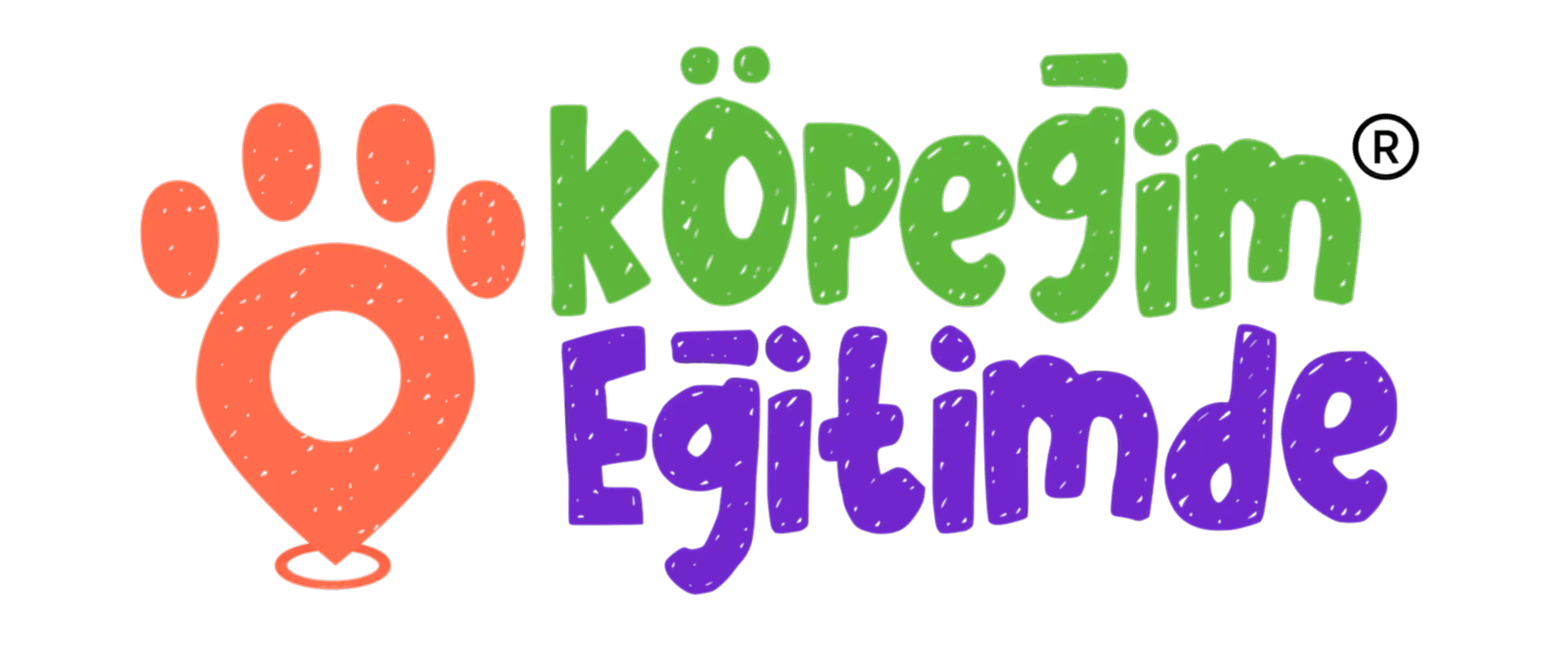 Köpeğim Eğitimde
