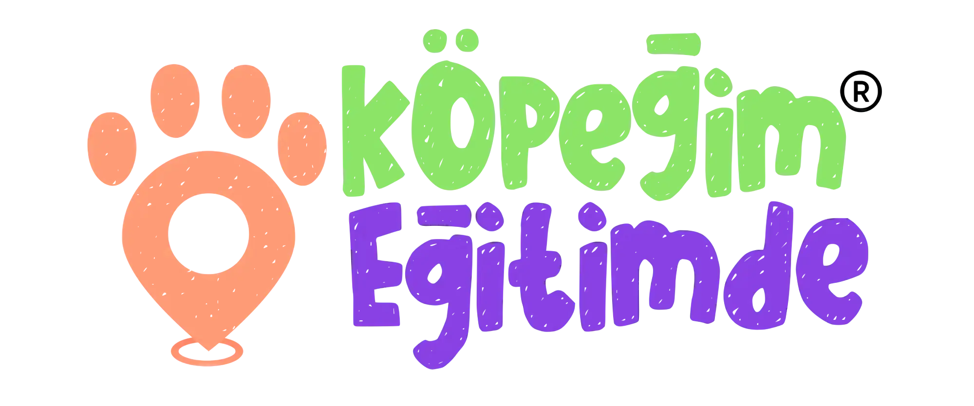 Köpeğim Eğitimde